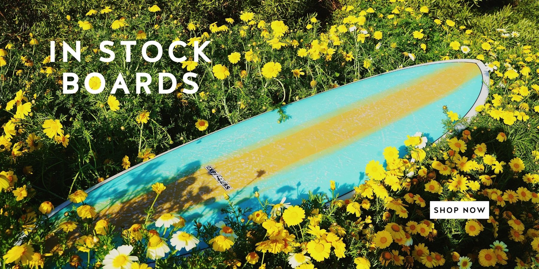 Express surfboard lying in flowers - Desktop