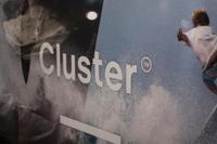 Cluster // Laguna Premiere